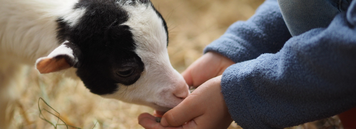 visiting a kansas farm