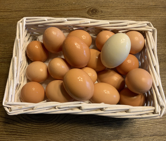 Farm eggs for sale
