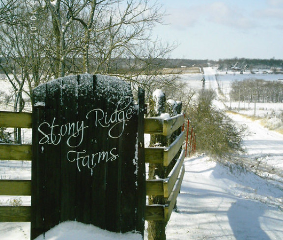 Stony Ridge Farms