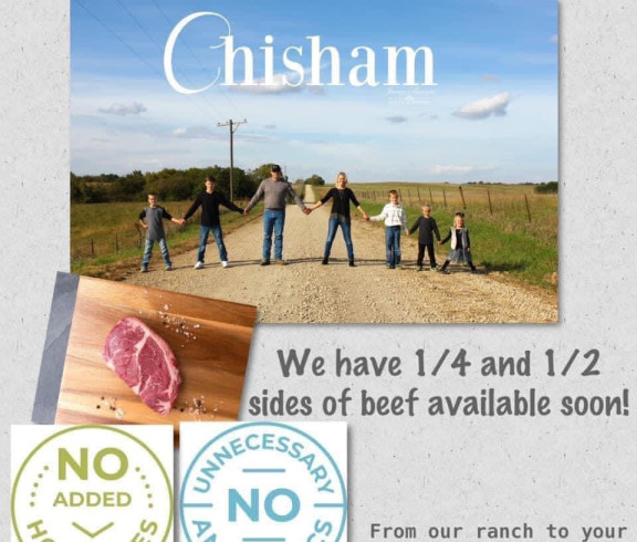 Chisham cattle co