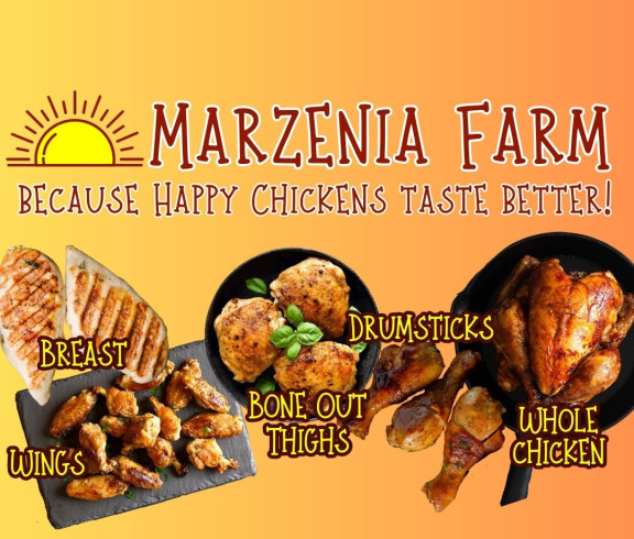 Chicken Banner