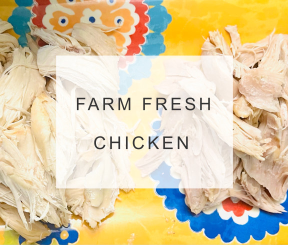 Farm fresh chicken freshly prepared and shredded arranged on a brightly colored platter