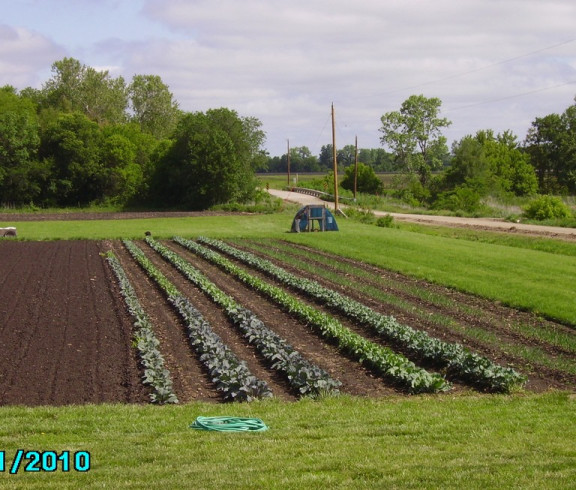 Shepherd's Valley Farm Field