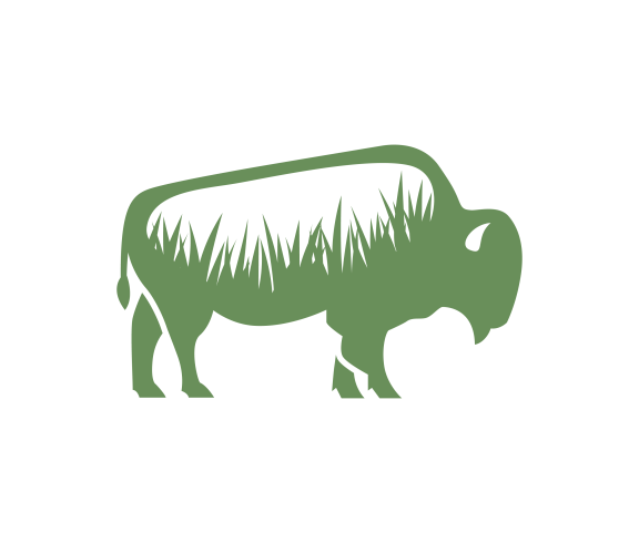 Green Grass Bison