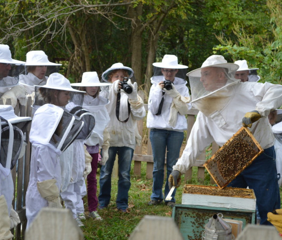 Local Kansas bee farm offers tours and field trip experiences with a beehive