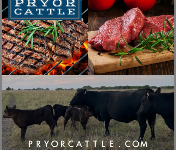 promo image for pryor cattle