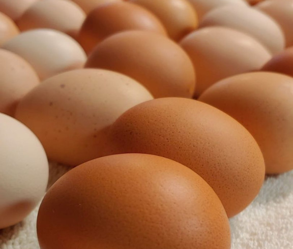 Farm fresh eggs ready for sale
