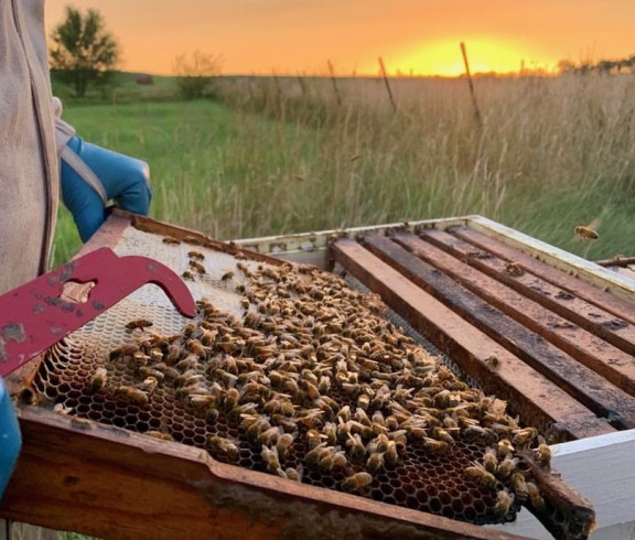 Started as an FFA project in 2017, enjoy your purchase knowing that you have just sent children to school, built houses for the homeless, and supported the conservation of the honeybee.