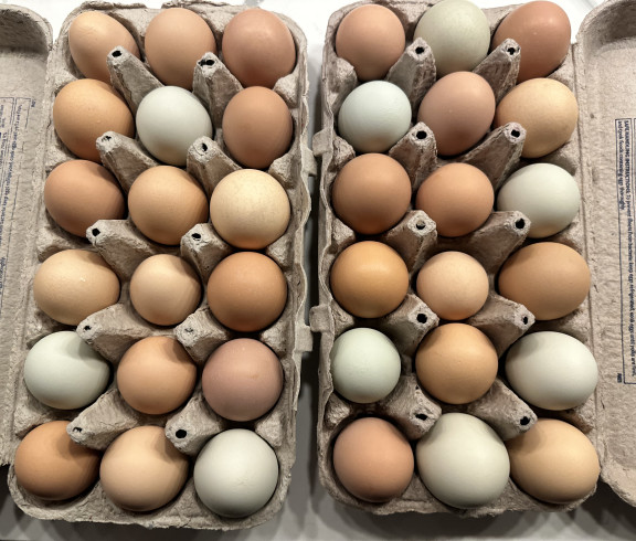 Farm fresh eggs $3 a dozen 