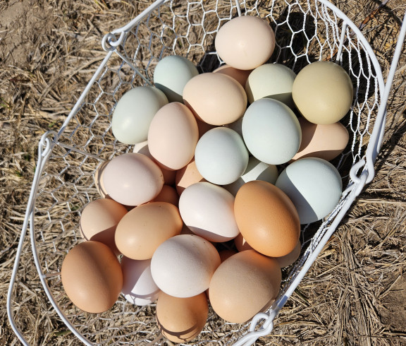 The freshest eggs you can get delivered right to your door!