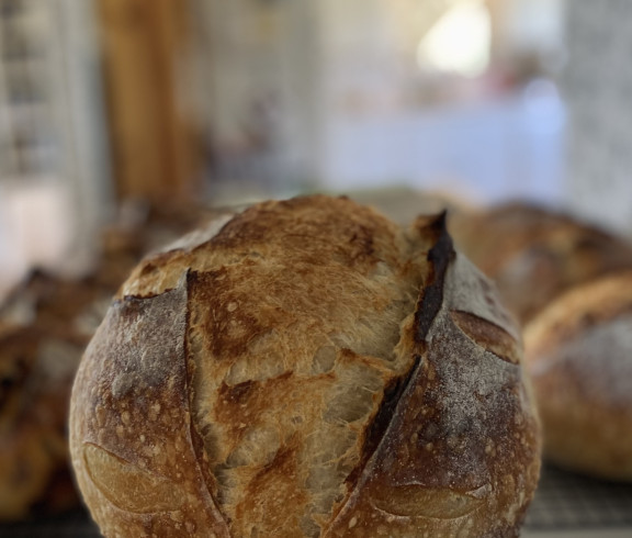 Simple sourdough