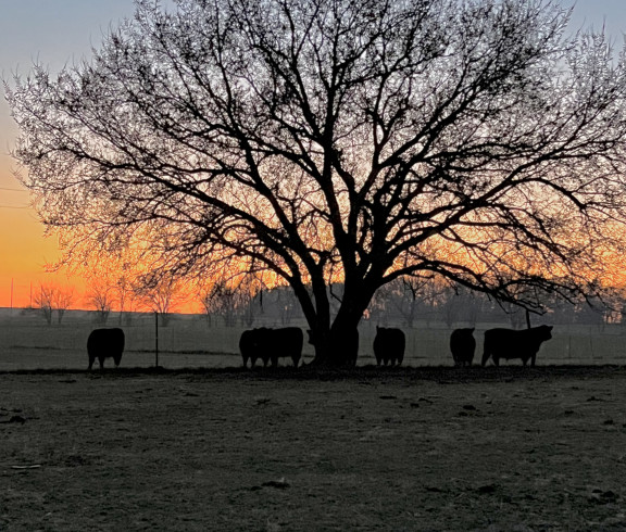 Marble Road Farm 