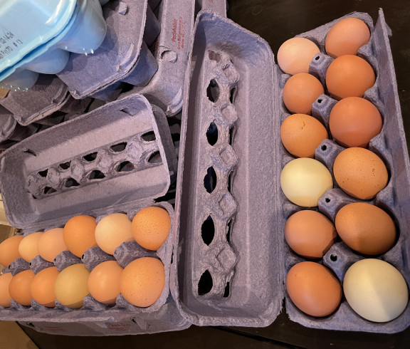 Farm fresh eggs