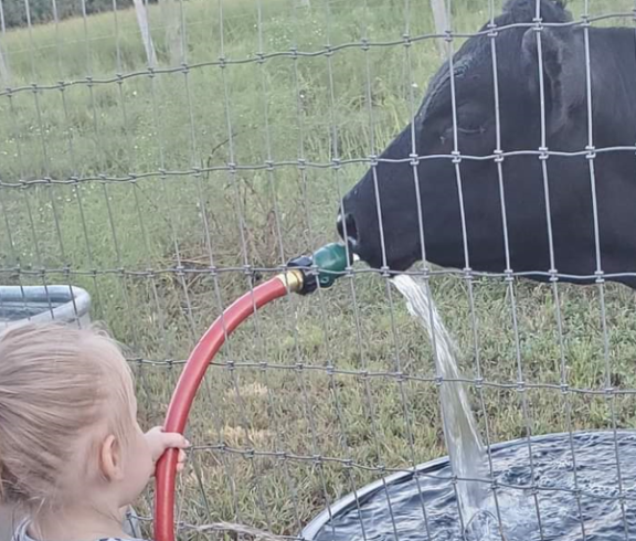 Kids have a Happy time at HappyKidsFarm