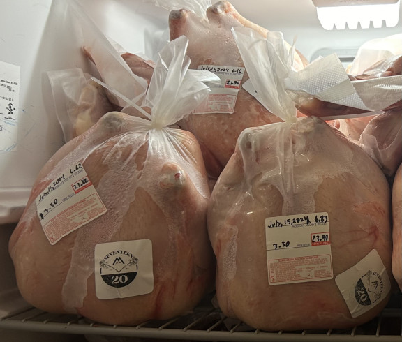 Pasture raised chicken