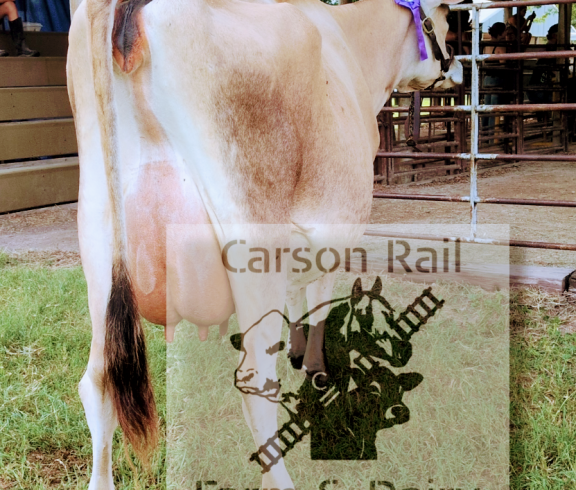 Carson Rail Dairy Happy Cows