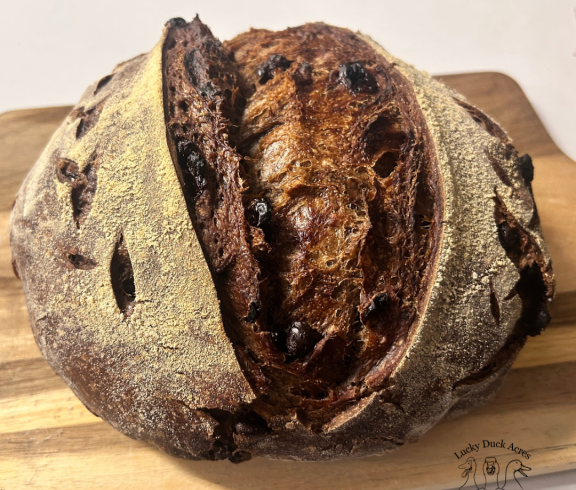 Chocolate Cherry Sourdough 