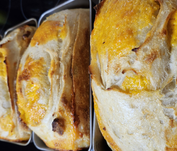 Sourdough Garlic Cheddar loaves 