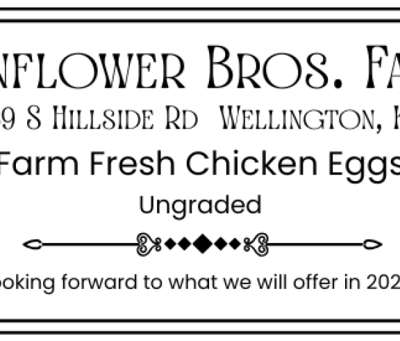 chicken eggs, eggs, sunflower bros. farm, wellington, kansas, small farm, homestead, local, small business, local business