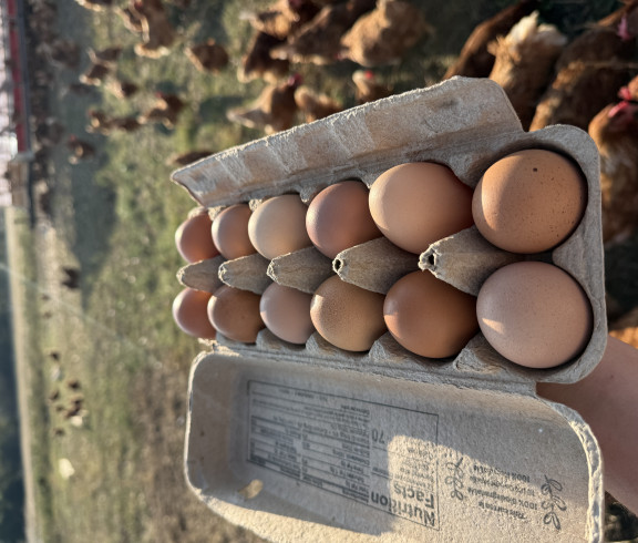 Truly pasture raised eggs. On gras 24/7 using rotational grazing with mobile coops