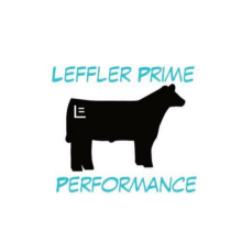 Leffler Prime Performance