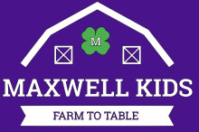 Maxwell kids color logo