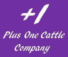 Plus One Cattle Company