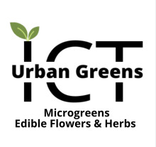 ICT Urban Greens Fresh Microgreens, Herbs and Edible Flowers