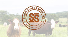 Cattle with sunny slope logo