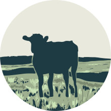 Dressman Land and Livestock LLC Logo