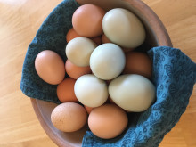 Antique crockery containing blue and brown eggs