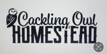 Cackling Owl Logo