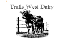 Cow and Calf walking West under the banner of Trails West Dairy