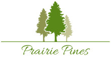 Prairie Pines logo with three green trees. 