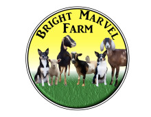 Bright Marvel Farm