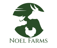 Noel Farms