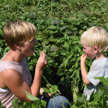 kansas grown vegetables