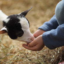 visiting a kansas farm