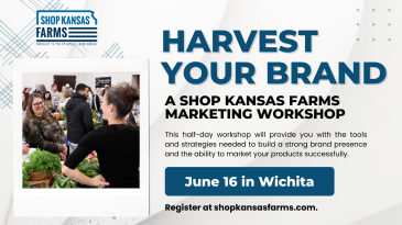 marketing workshop for direct to consumer businesses